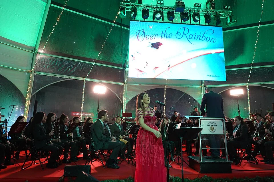 Orchestre en pleine représentation sur scène, animation musicale orchestre