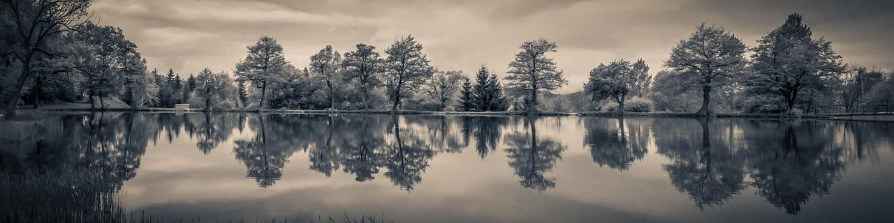 Panorama au bord de l'eau pour un evenement